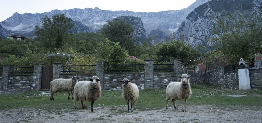 Albania: All roads lead to Vjosa