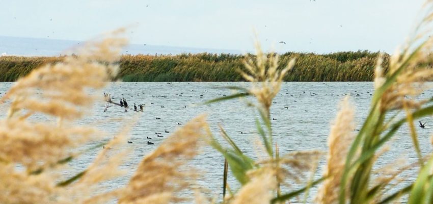 Armenia: Armash Fishponds