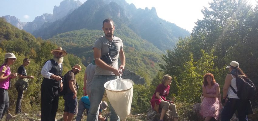 🇦🇱 [Albania] 🐟 Valbona BioBlitz – Rosemary